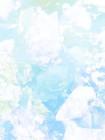 烟火散尽，再无青梅
